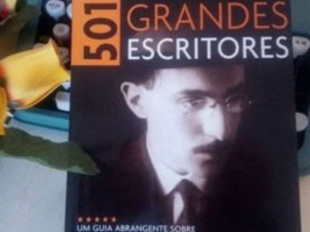Resenha 501 Grandes Escritores