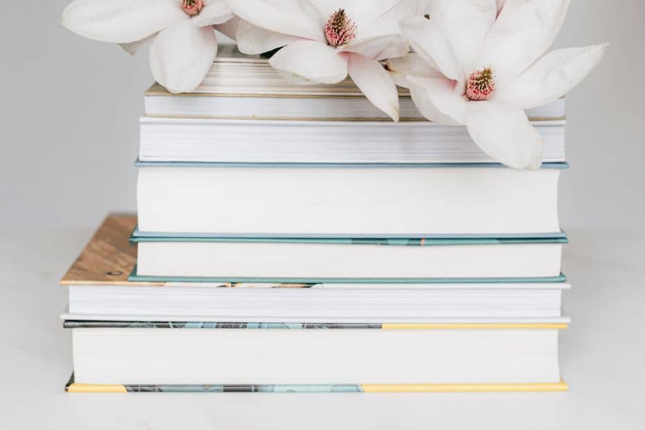tag Obsessão por Livros