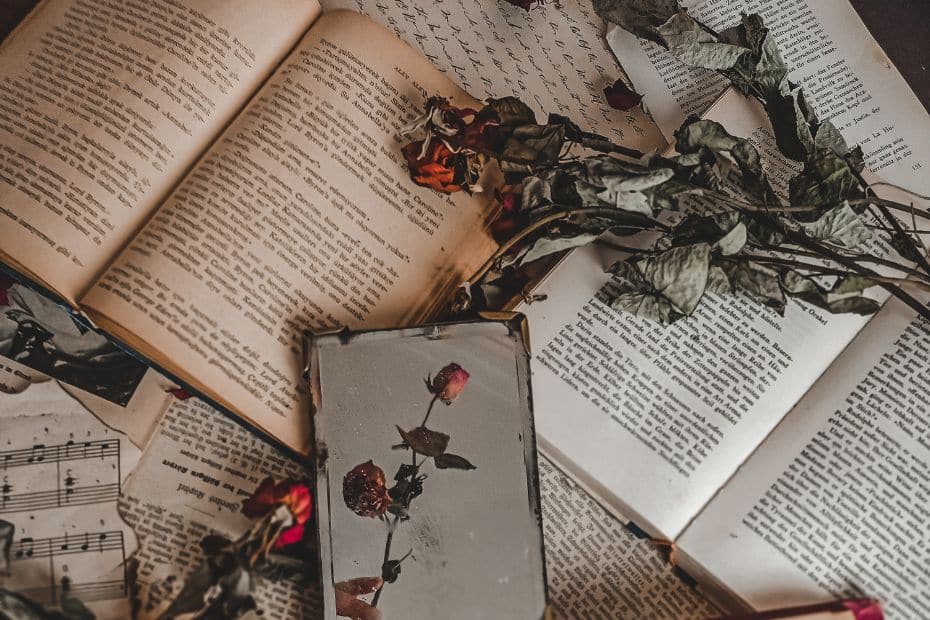 Livros Clássicos Book Tag