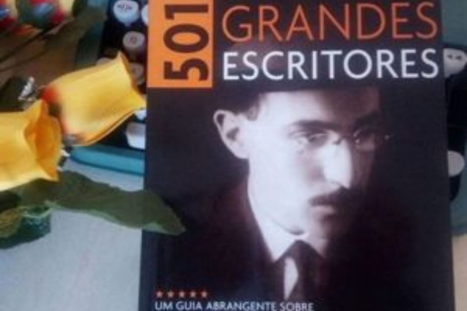 Resenha 501 Grandes Escritores