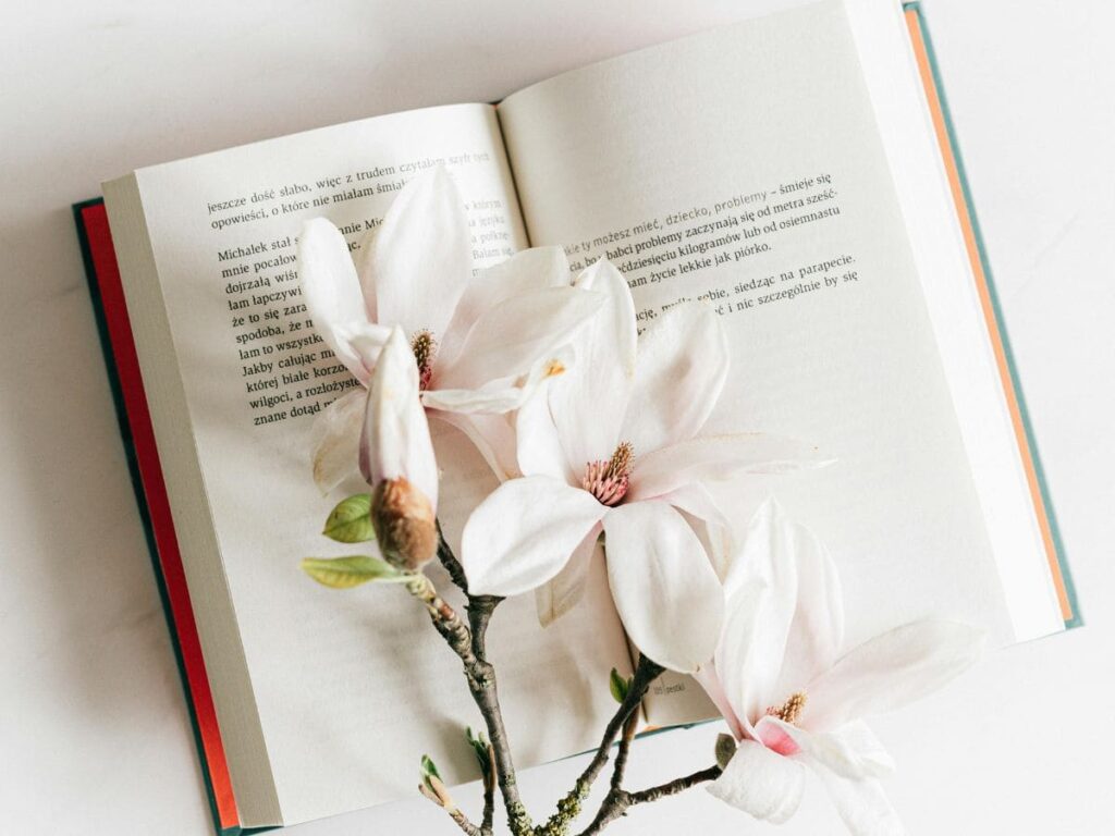 Melhores Livros para Comprar na Amazon