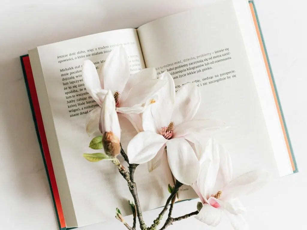 Melhores Livros para Comprar na Amazon