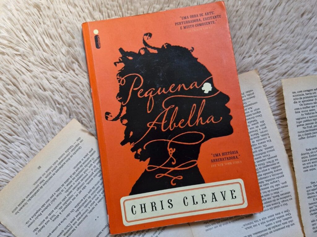 Resenha - Pequena Abelha – Chris Cleave